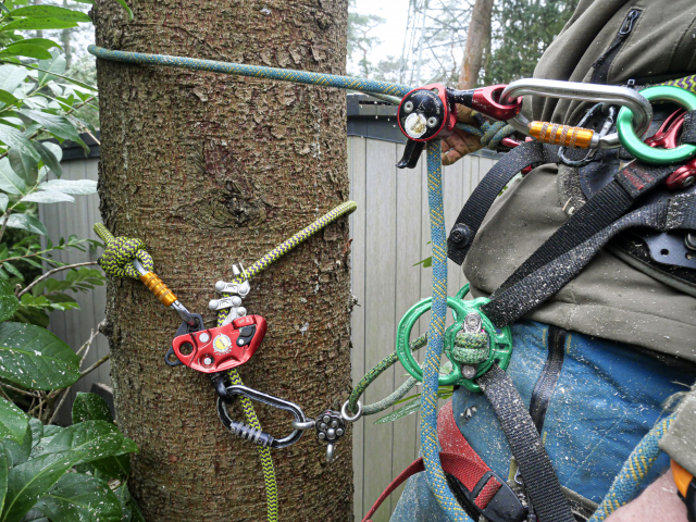 ISC Reflex tested: Perfect for SRT & DRT climbing | SafetyPro